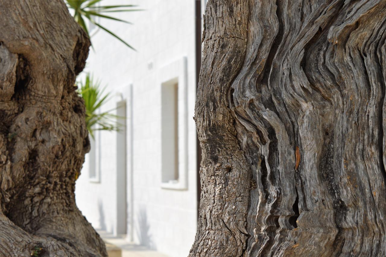 Masseria Torrepietra Монополи Екстериор снимка